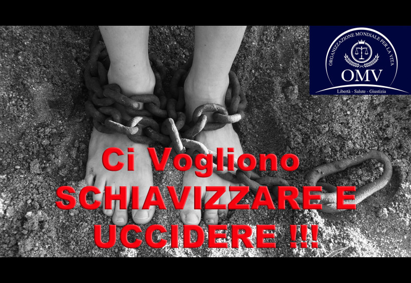 CI VOGLIONO SCHIAVIZZARE E UCCIDERE!!!